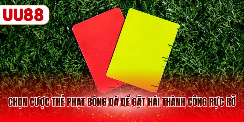 Chọn cược thẻ phạt bóng đá để gặt hái thành công rực rỡ