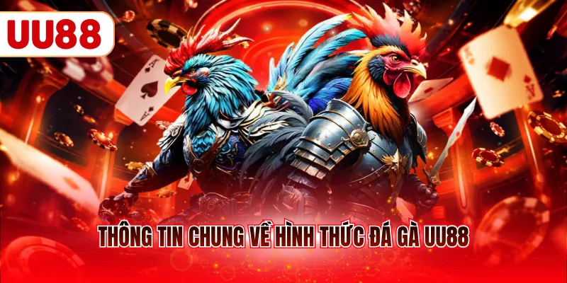 Thông tin chung về hình thức đá gà UU88