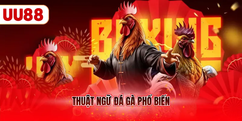 Thuật ngữ đá gà phổ biến